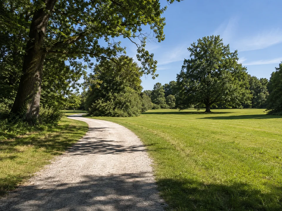 Nördlicher Englischer Garten am Aumeister: weite gemähte Parkwiesen, alte Laubbäume, geschwungener Kiesweg