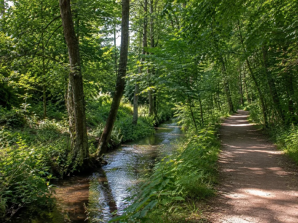 Pasinger Stadtpark: schmale Würm unter Erlen und alten Laubbäumen, ebener Parkweg am kleinen Fluss