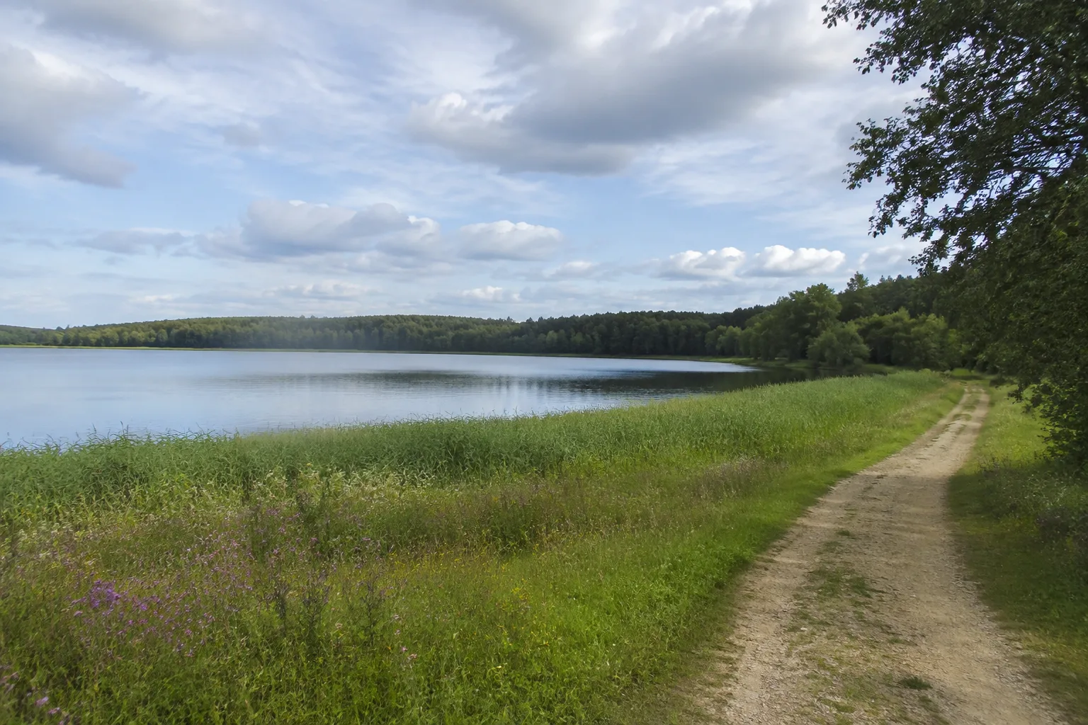 Federow: offene Wiesen am Rand von Wald und Müritzseen