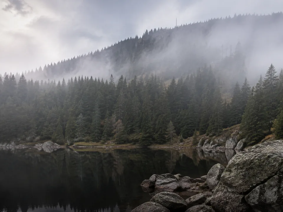 Hornisgrinde über dem See: offene Grindenhöhe oberhalb des dunklen Wassers