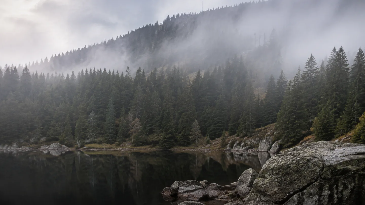 Mummelsee: Mummelsee: dunkler Karsee unter bewaldetem Steilhang