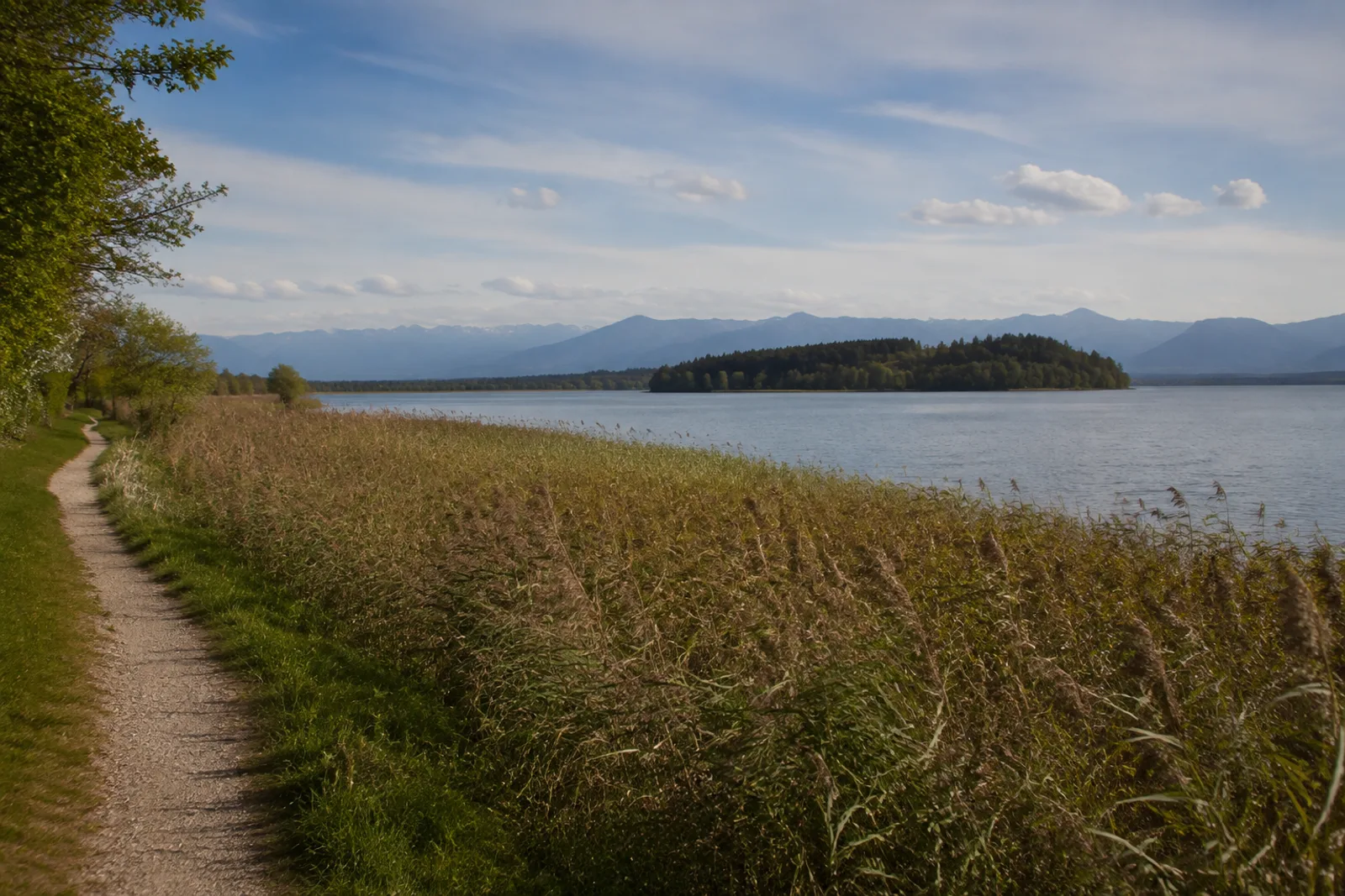 Staffelsee-Südufer: Schilfgürtel und Inseln im warmen Voralpensee