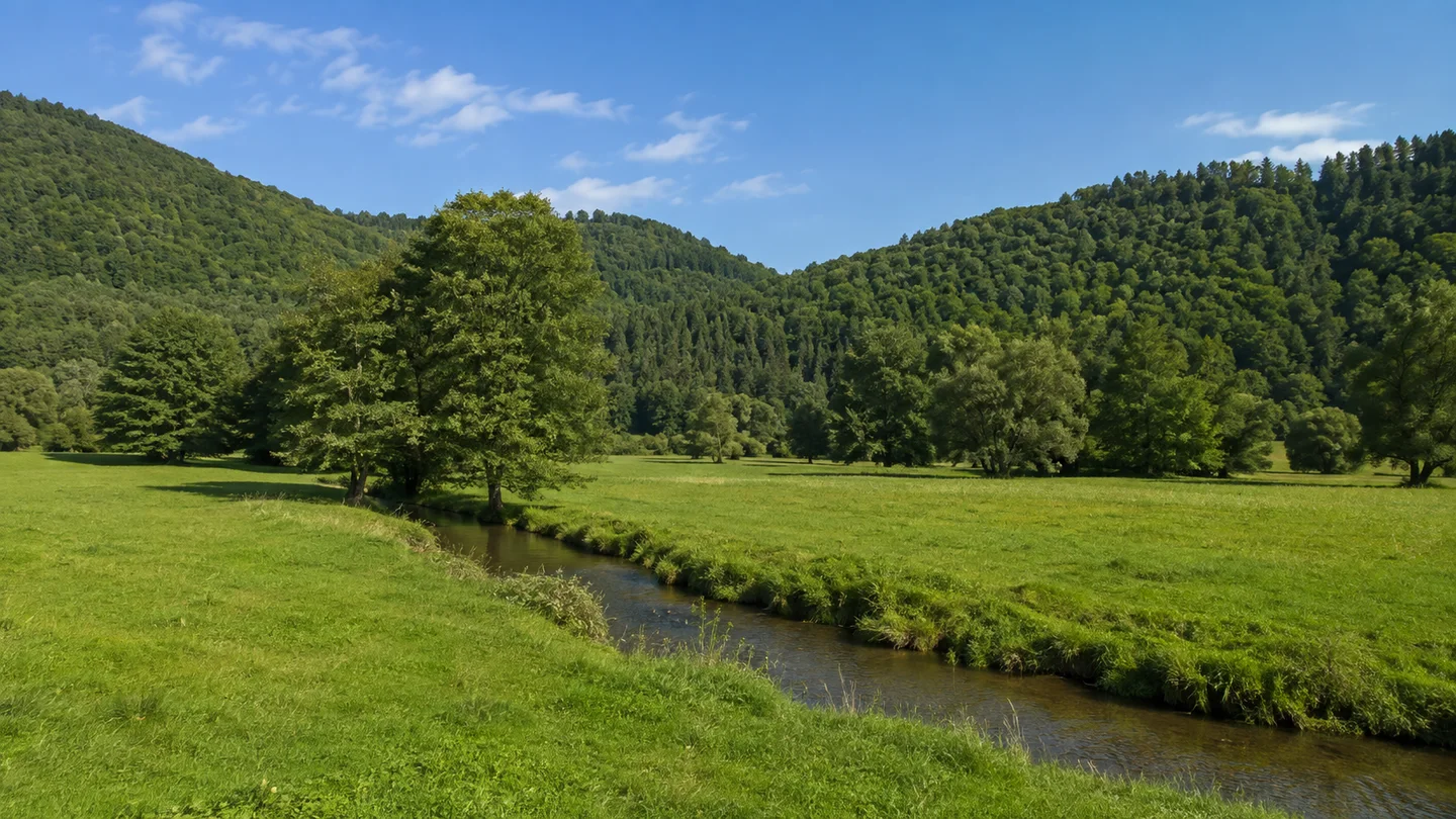 Murrhardt: Busbahnhof Murrhardt: Murrhardter Talwiesen: Grüne Talwiese mit kleinem Fluss und Laubbäumen vor bewaldeten Keuperhängen