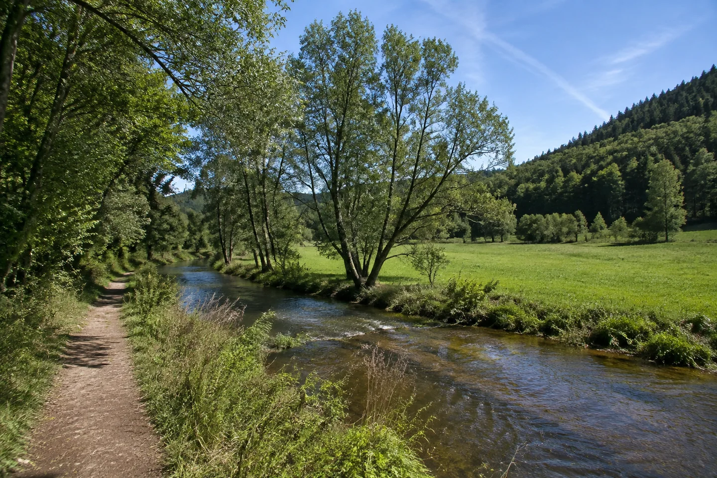 Naila: Selbitztal bei Naila, schmaler Fluss neben einer grünen Wiese, Erlen am Ufer, niedrige bewaldete Hügel, ruhiger Fußweg am Rand.