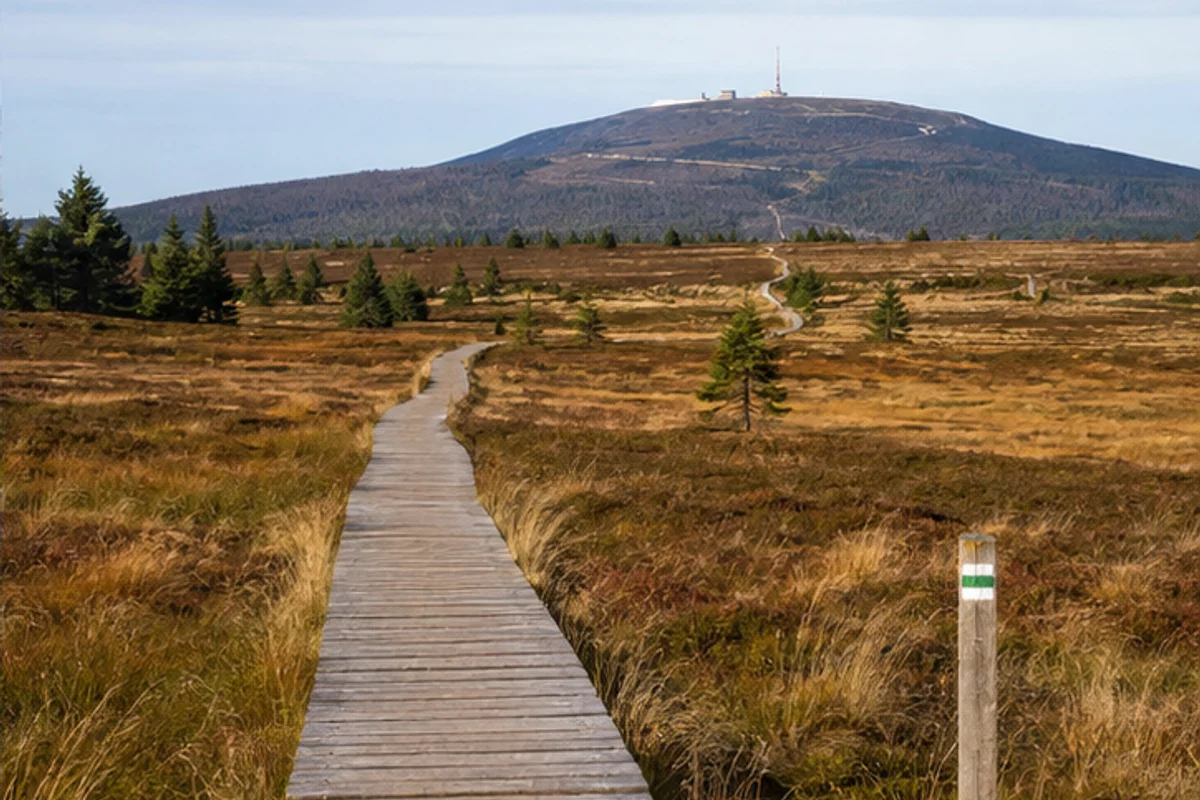 Moorsteg bei Torfhaus im Nationalpark Harz