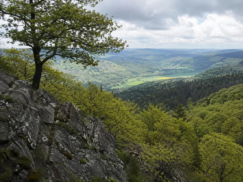 Hagenstein: Blick vom Buchenhang in das Edertal
