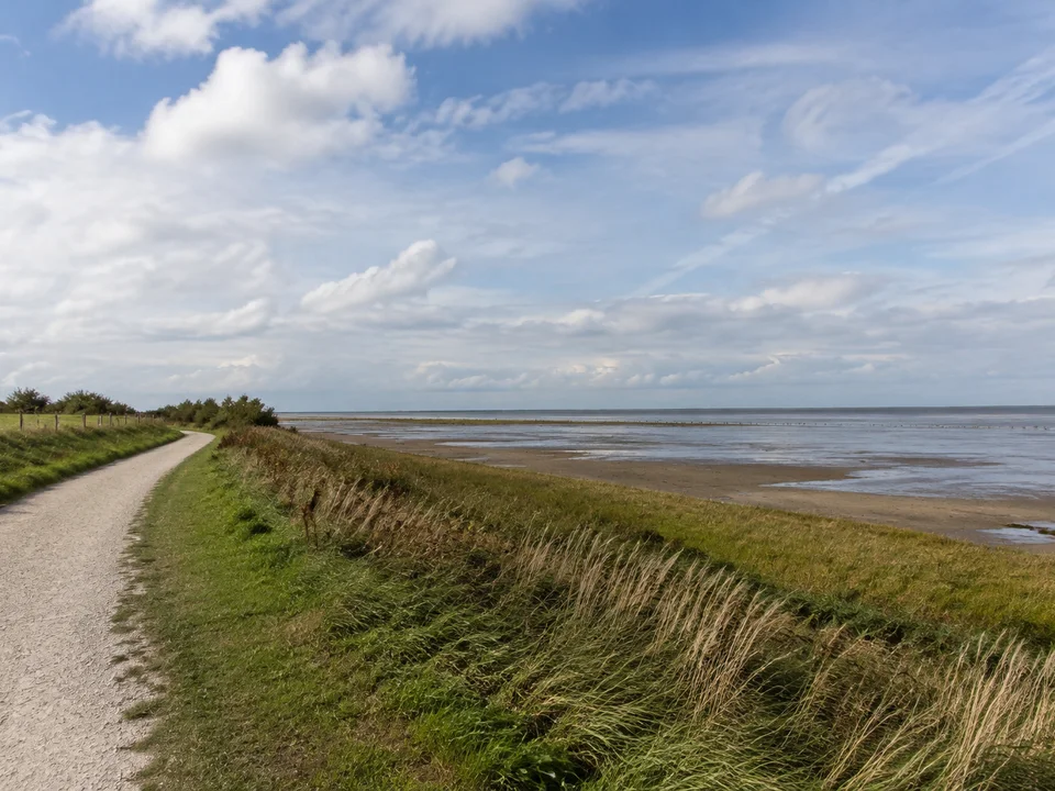 Nationalpark Niedersächsisches Wattenmeer: Weite flache Bucht mit Schlickflächen und niedrigen grünen Deichen, Vogelbeobachtung vom Land aus