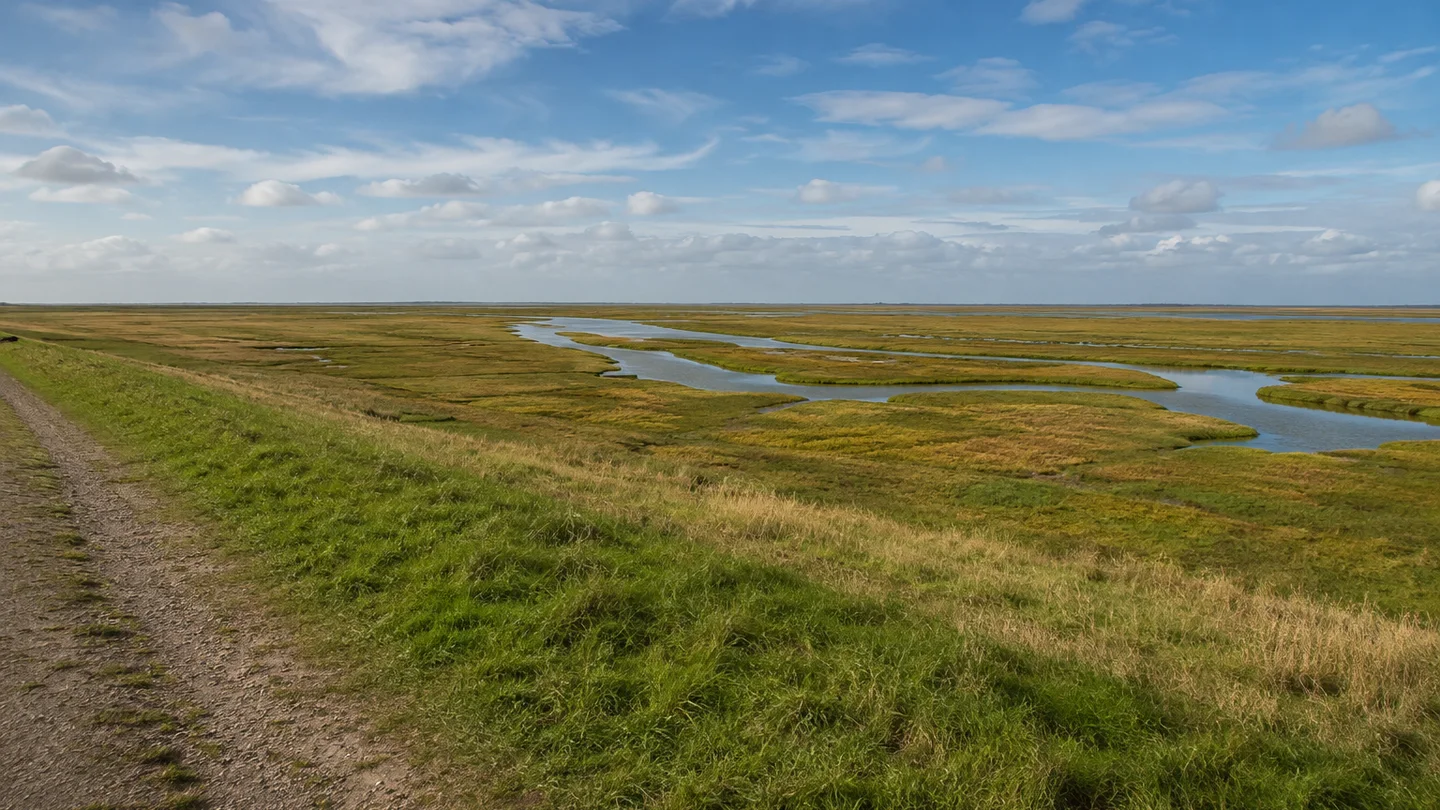 Nationalpark Niedersächsisches Wattenmeer: KI-Visualisierung zur Startregion Nationalpark-Haus Greetsiel – Flache Salzwiesen mit natürlichen Prielen hinter einem zulässigen Deichweg, weiter Nordseehimmel