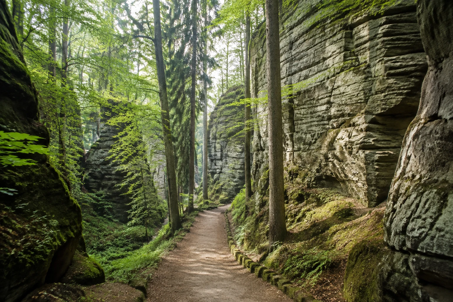 Nationalpark Sächsische Schweiz: Nationalparkzentrum Bad Schandau: Nationalpark Sächsische Schweiz: markierter Pfad zwischen Sandsteinwänden und Mischwald