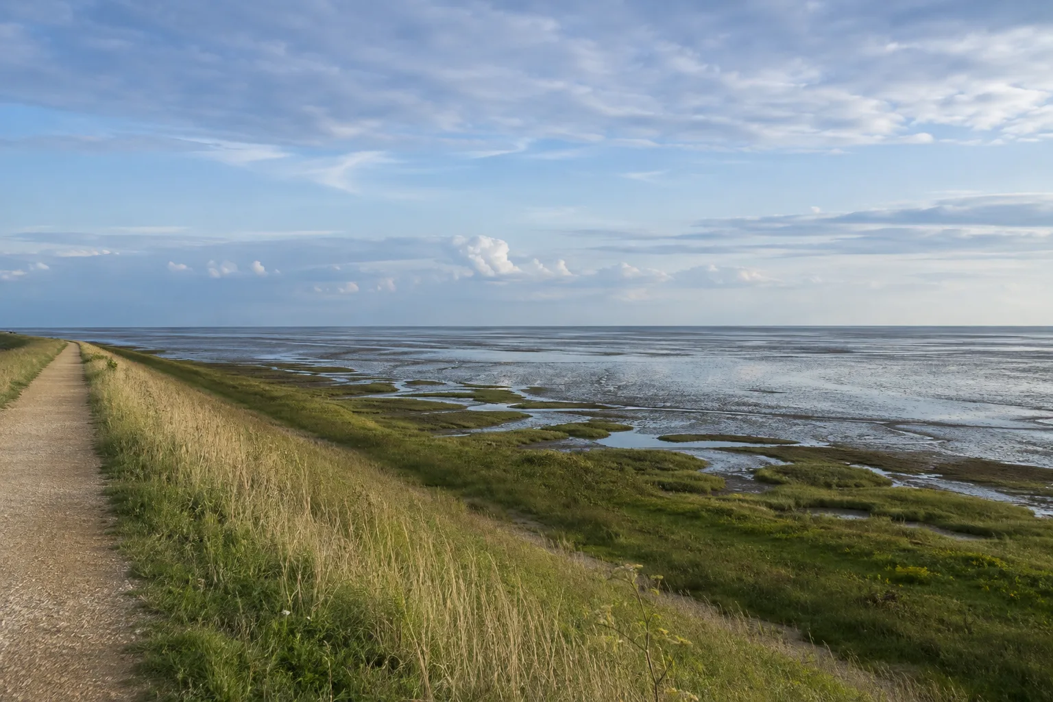 Nationalpark Schleswig-Holsteinisches Wattenmeer: Schleswig-Holsteinisches Wattenmeer: Salzwiesen und Wattflächen hinter einem sicheren Deichweg bei Ebbe