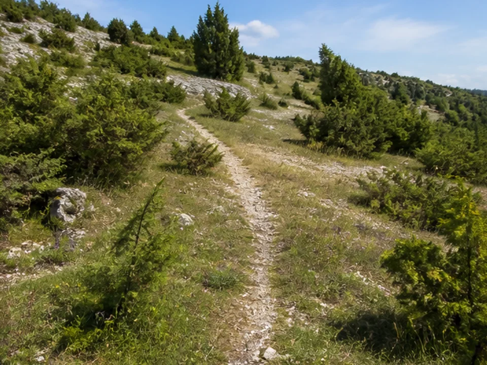 Wacholderheide: sonniger Kalkmagerrasen über dem Tal