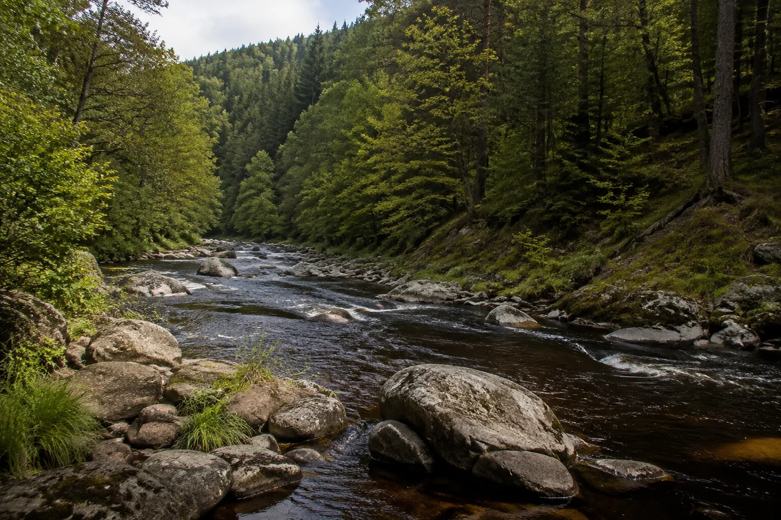 Regental: Flussbogen mit Felsen und bewaldeten Hängen