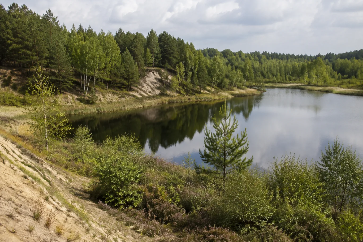 Köthener Heideseen: Kleine Waldseen in einer sandigen, leicht bewegten Landschaft