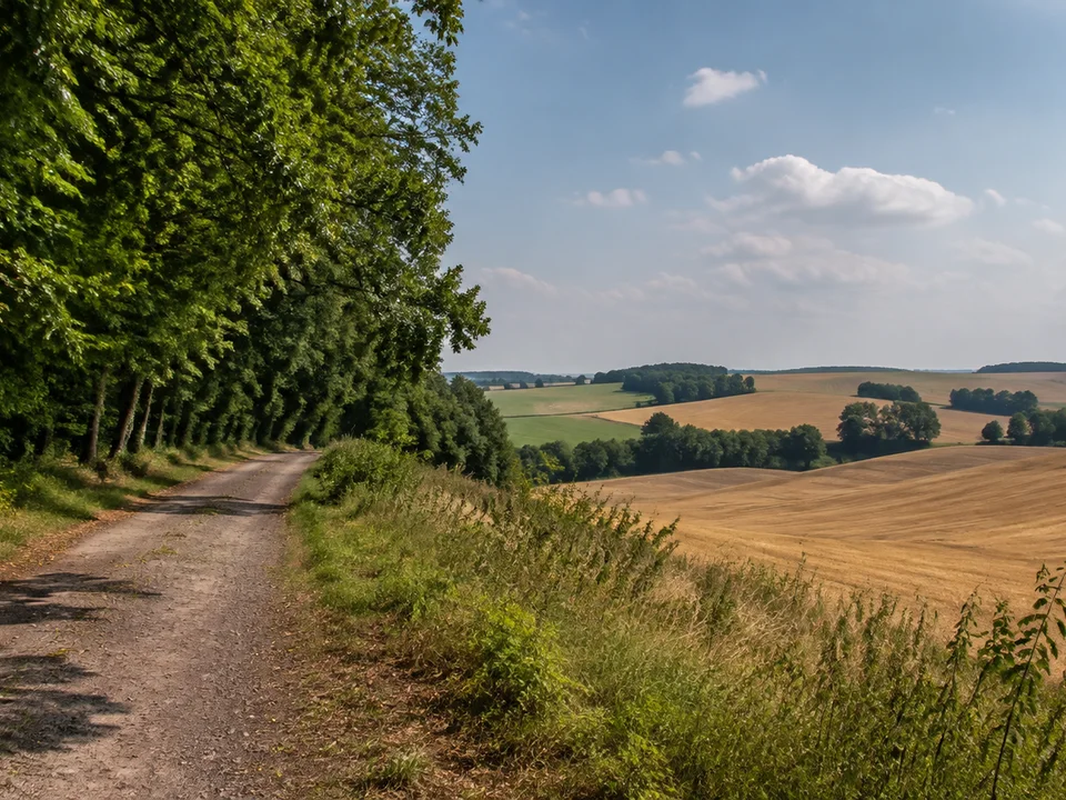 Elz bei Lelm: breiter Weg am Laubwaldrand neben welliger Ackerlandschaft