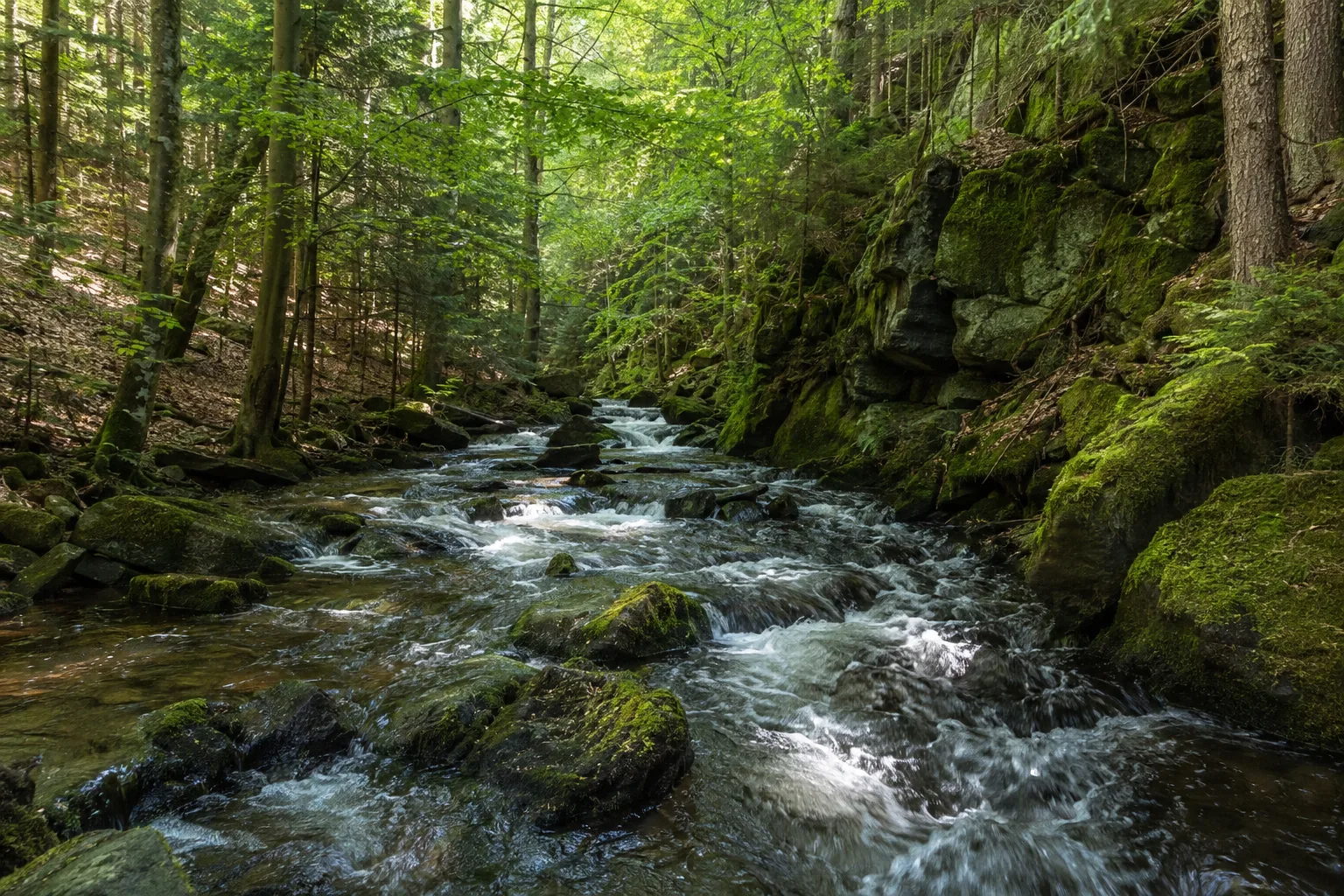 Schwarzwassertal: felsiges Waldtal mit klarem Gebirgsbach