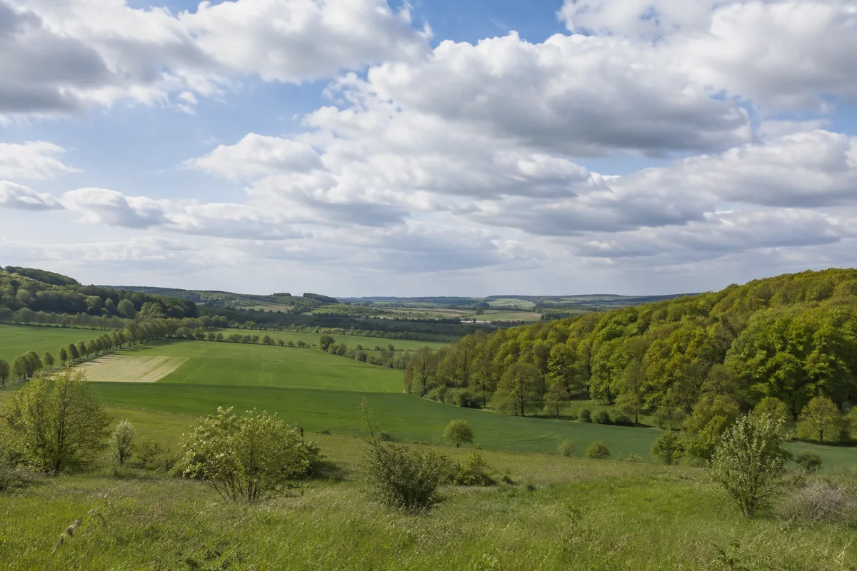 Naturpark Feldberger Seenlandschaft: Naturpark Feldberger Seenlandschaft, Startgebiet Carpin Dorf: Mosaik aus Feldern und Buchenwald am Naturparkzugang Carpin
