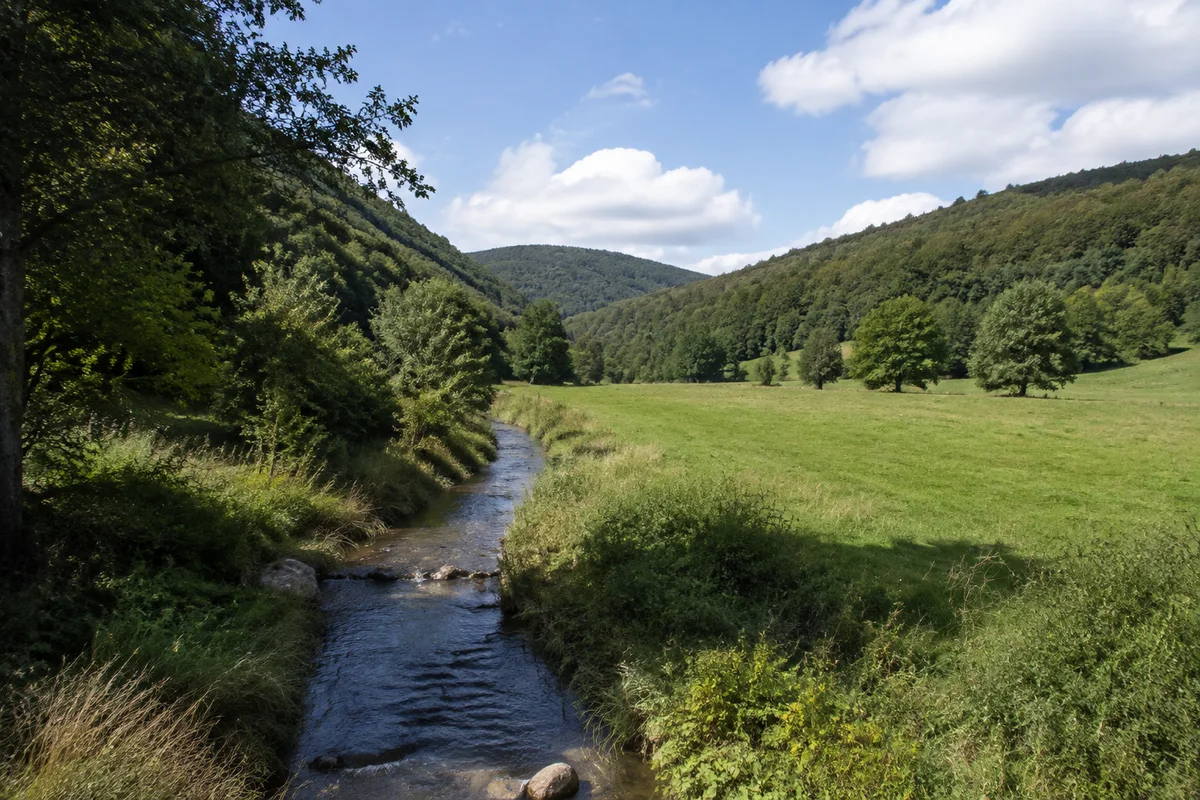 Emstal: schmaler Bach in Wiesental zwischen sanften bewaldeten Hügeln