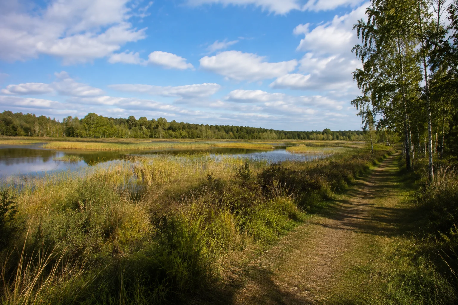 Naturpark Hümmling: Wehm Ortsmitte: Theikenmeer als flaches Moorgewässer mit Röhricht, Birken und weitem Himmel von erlaubtem Randweg gesehen