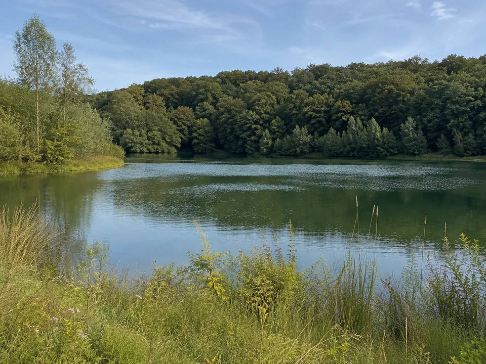 Silbersee bei Frielendorf: Ruhiger kleiner See mit grünen Ufern und dichtem Laubwaldhorizont