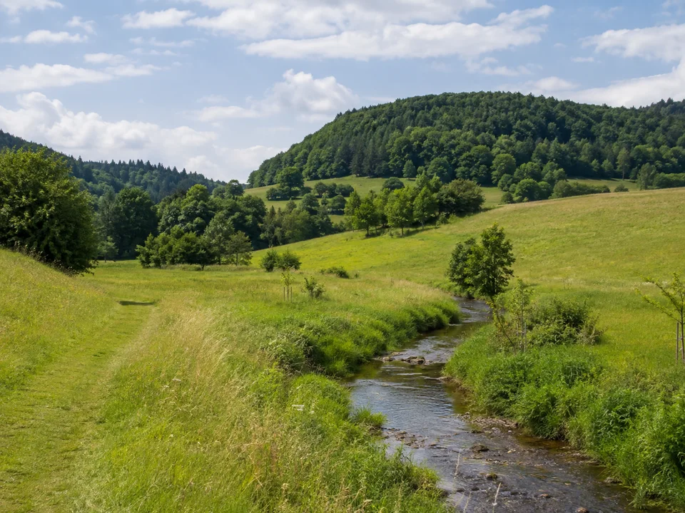 Oberaulaer Wiesentäler: Sanft gewelltes grünes Tal mit kleinem Bach, Wiesenweg und bewaldeten Kuppen
