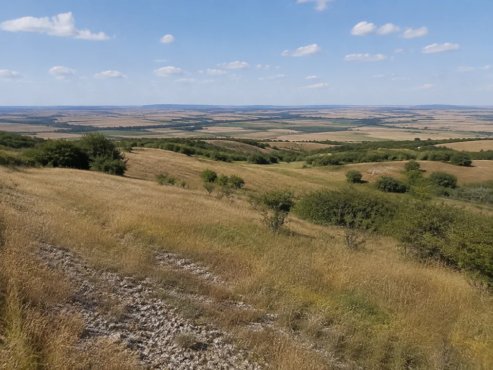 Badraer Trockenlandschaft: Sanfte trockene Hügel mit lückigem Gras, Feldhecken und weitem Blick über Ackerland