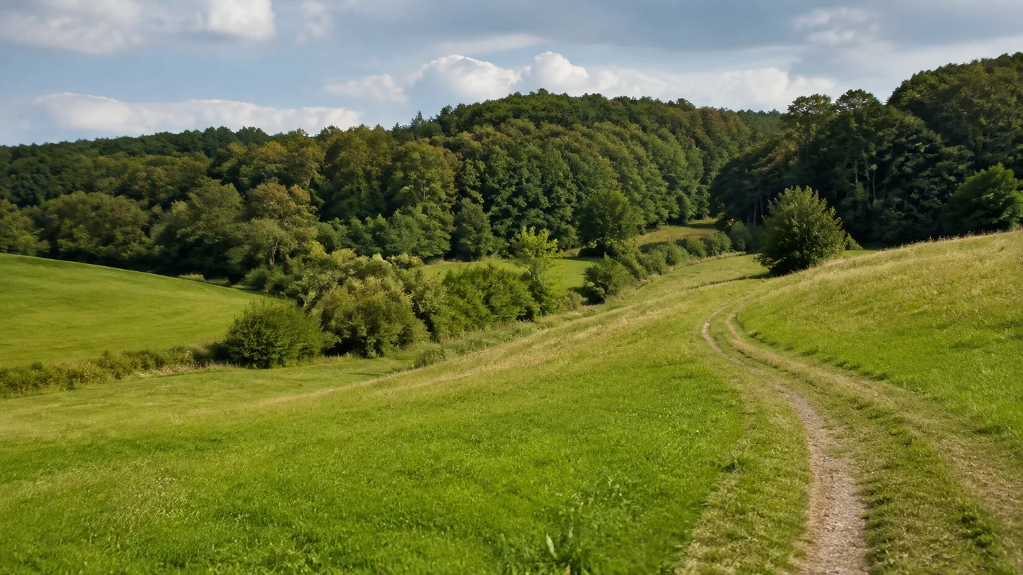 Naturpark Lahn-Dill-Bergland: Nanzenbach Friedhof: Naturpark-Wiesenlandschaft: Sanft hügelige grüne Wiesen mit kleinen Bachgehölzen und einem Feldweg vor dichtem Laubwald