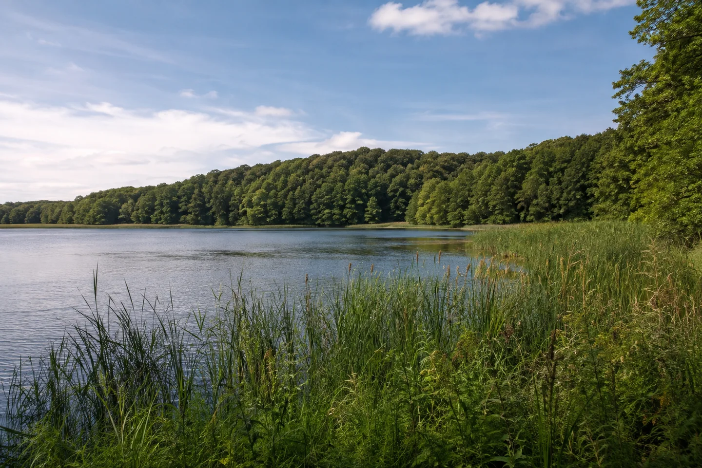 Naturpark Lauenburgische Seen: Mölln – Uhlenkolk: Lauenburgischer Waldsee: Ruhiger See mit breitem Schilfgürtel und dichtem Laubwald auf niedrigen Moränenhügeln