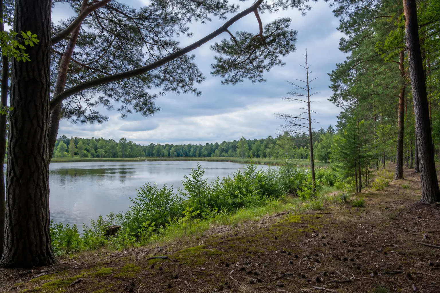 Fürstlich Drehna: Fischteiche, alte Forste und Ausblicke am historischen Dorf