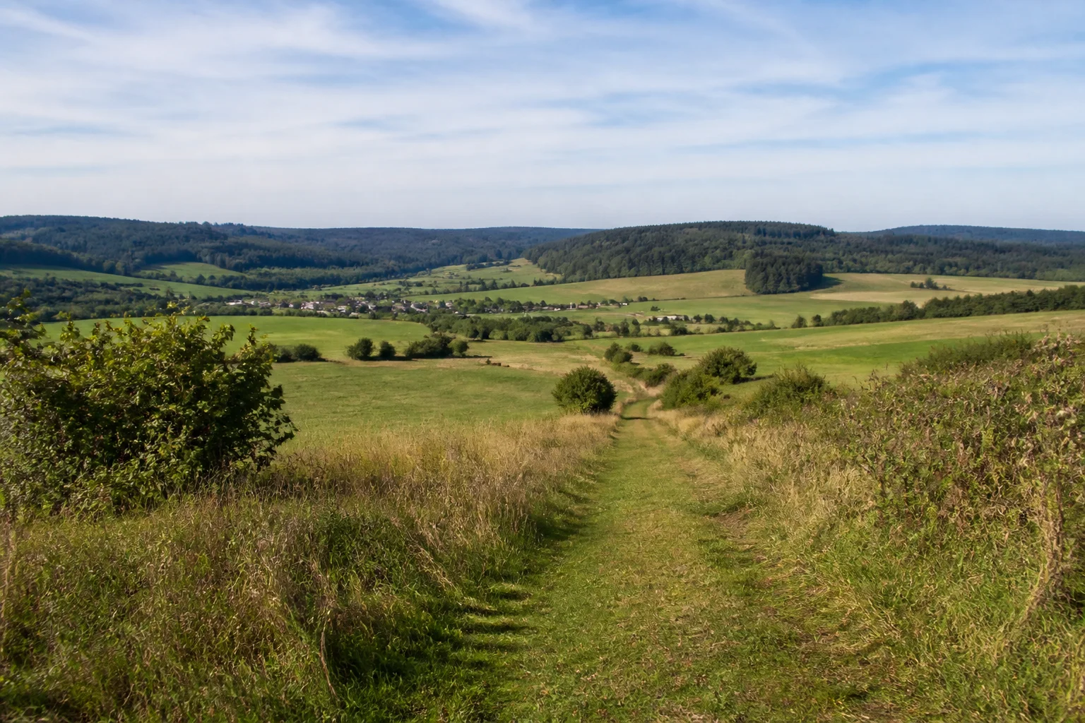 Keller Mulde: Wiesenweg über eine breite sanfte Hochmulde mit Feldern, kleinen Dörfern und dunklen Waldhöhen im Hintergrund.