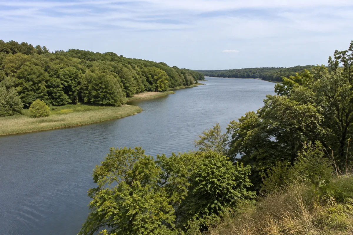 Schlei bei Missunde: Schmaler gewundener Meeresarm zwischen grünen bewaldeten Ufern