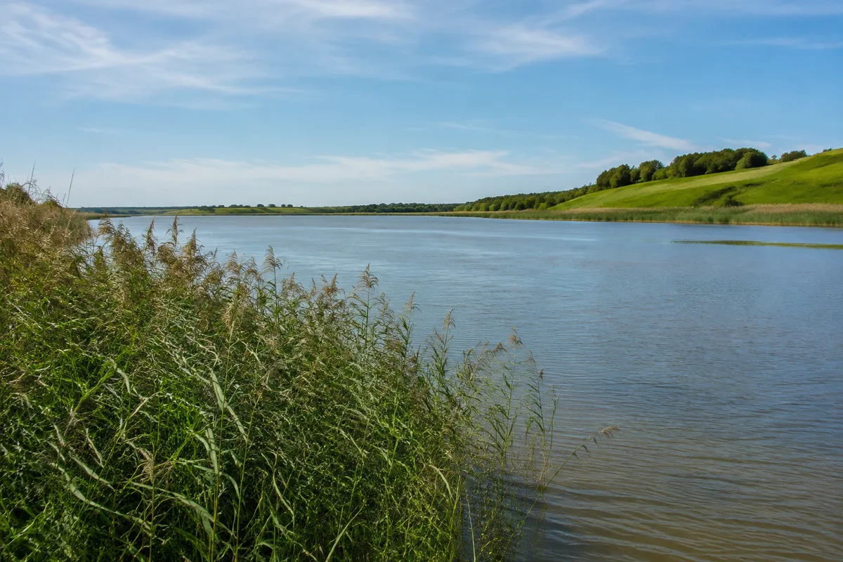 Naturpark Schlei: Schleswig: Innere Schlei: Breite ruhige brackige Wasserfläche mit Schilf und sanften grünen Uferhügeln