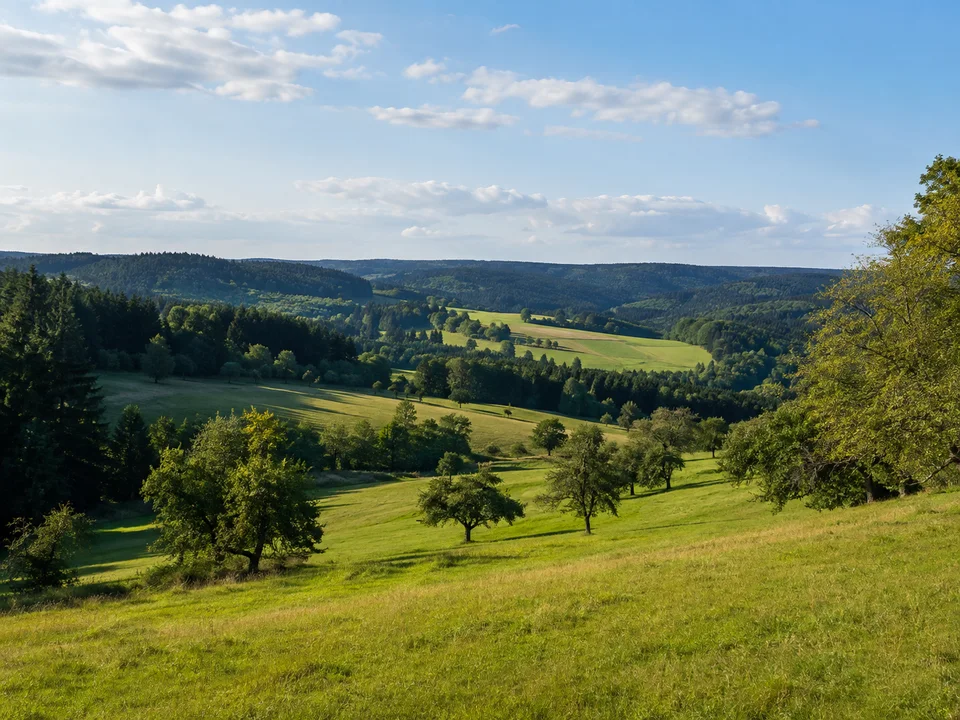 Wiesen um Alfdorf: Grüne Wiesen auf welliger Keuperhochfläche mit Obstbäumen und dunklen Waldsäumen