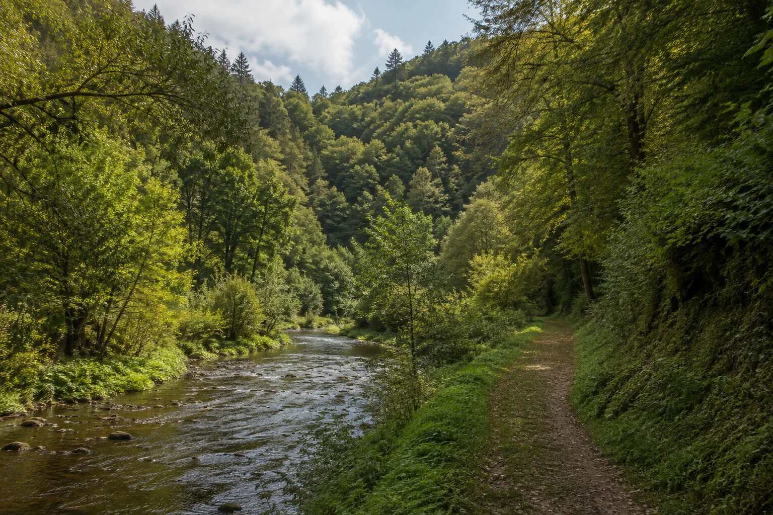 Naturpark Südeifel: Enger grüner Talraum der Enz bei Neuerburg mit kleinem Fluss und dichtem Laubwald an den Hängen