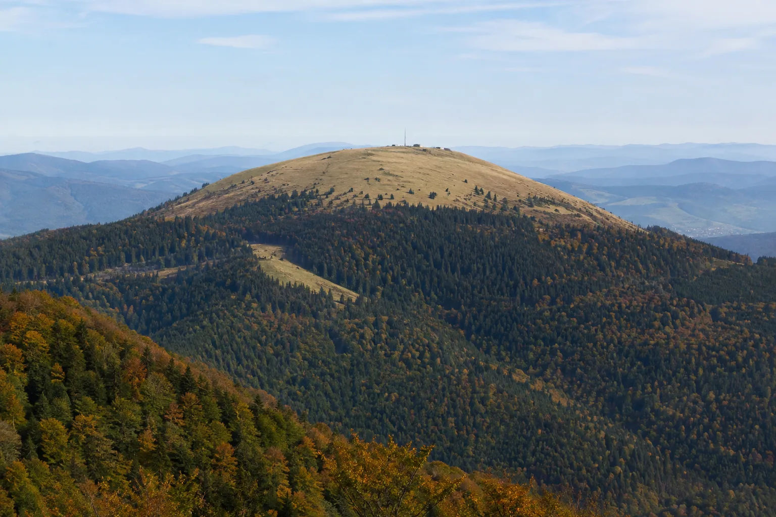 Belchenraum: offene Gipfelkuppe über steilen Bergwäldern