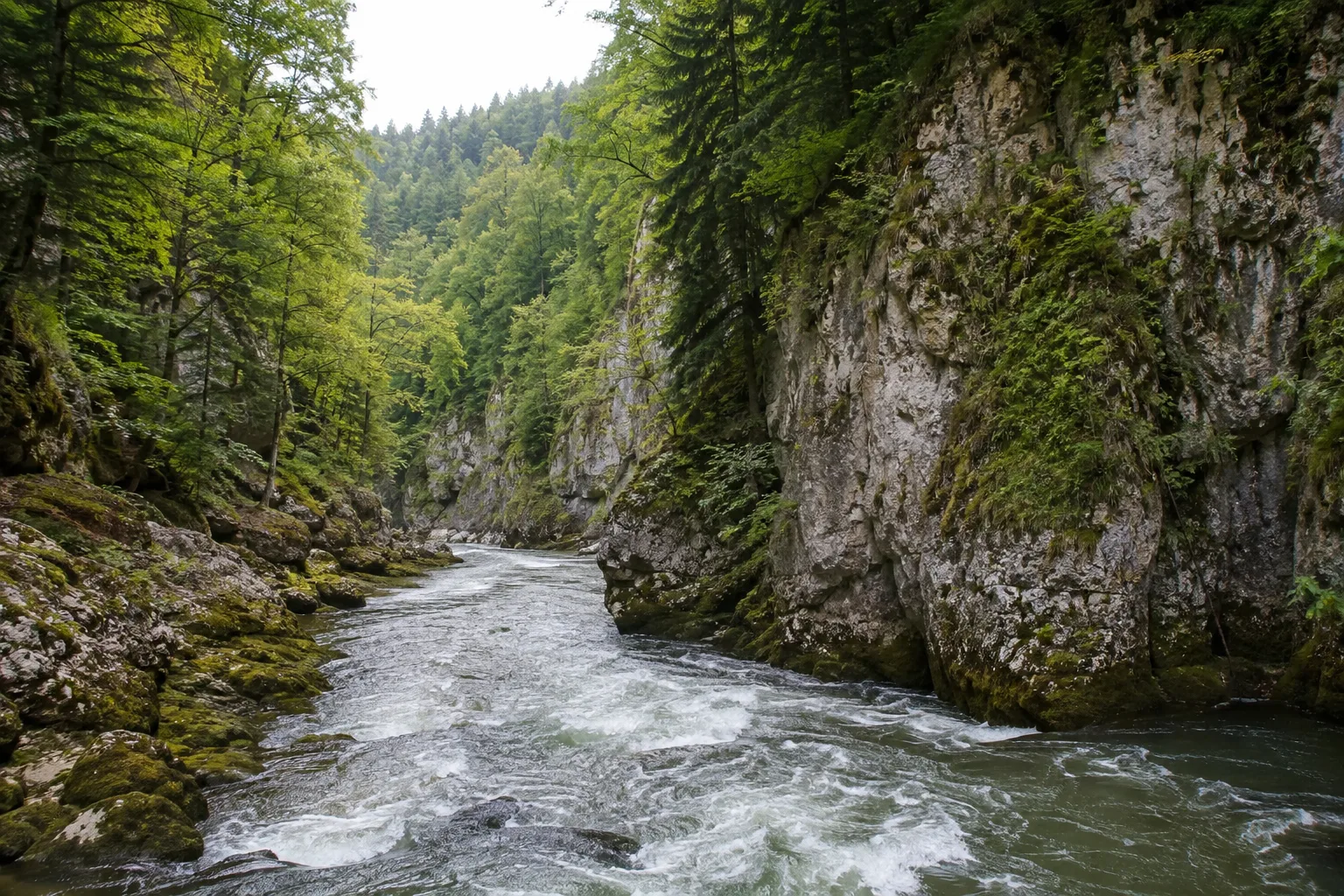 Wutach und Wehratal: felsige, wasserreiche Schluchten in dichtem Mischwald