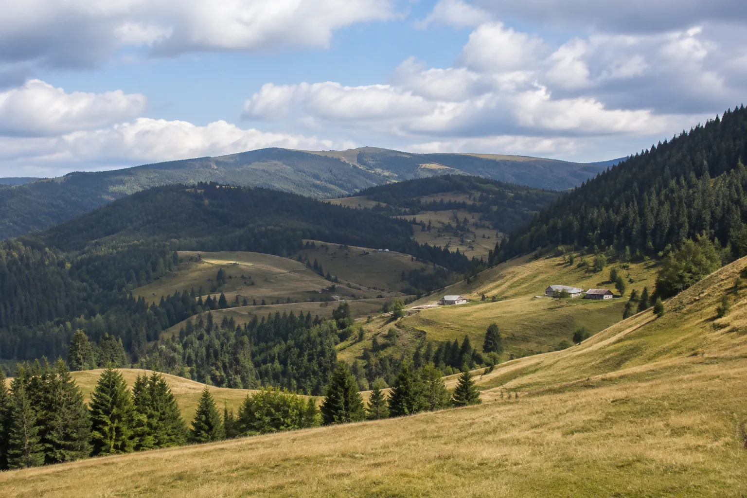 Naturpark Südschwarzwald: Naturpark Südschwarzwald: große Mittelgebirgslandschaft mit Feldberg-Hochweiden, tiefen Tälern und verstreuten Schwarzwaldhöfen