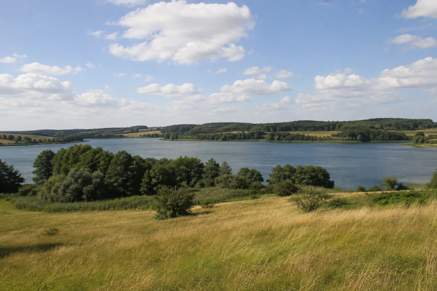 Fürstenwerder Seenlandschaft: offene niedrige Moränenhügel am Dammsee mit Feldgehölzen