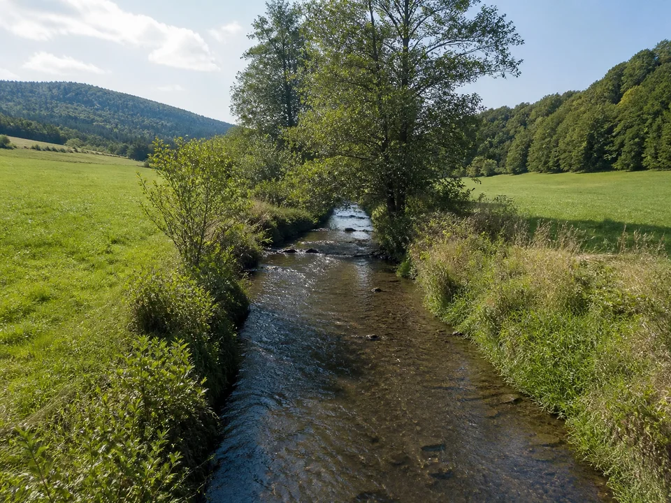 Bach bei Ilbeshausen: Kleiner klarer Bach zwischen grünen Wiesen, Erlen und sanft bewaldeten Hügeln