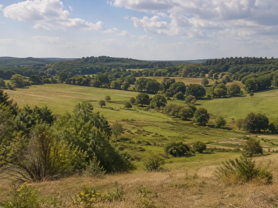 Geestlandschaft im Naturpark bei Clenze: sanfte bewaldete Kuppen und kleinteilige Wiesen