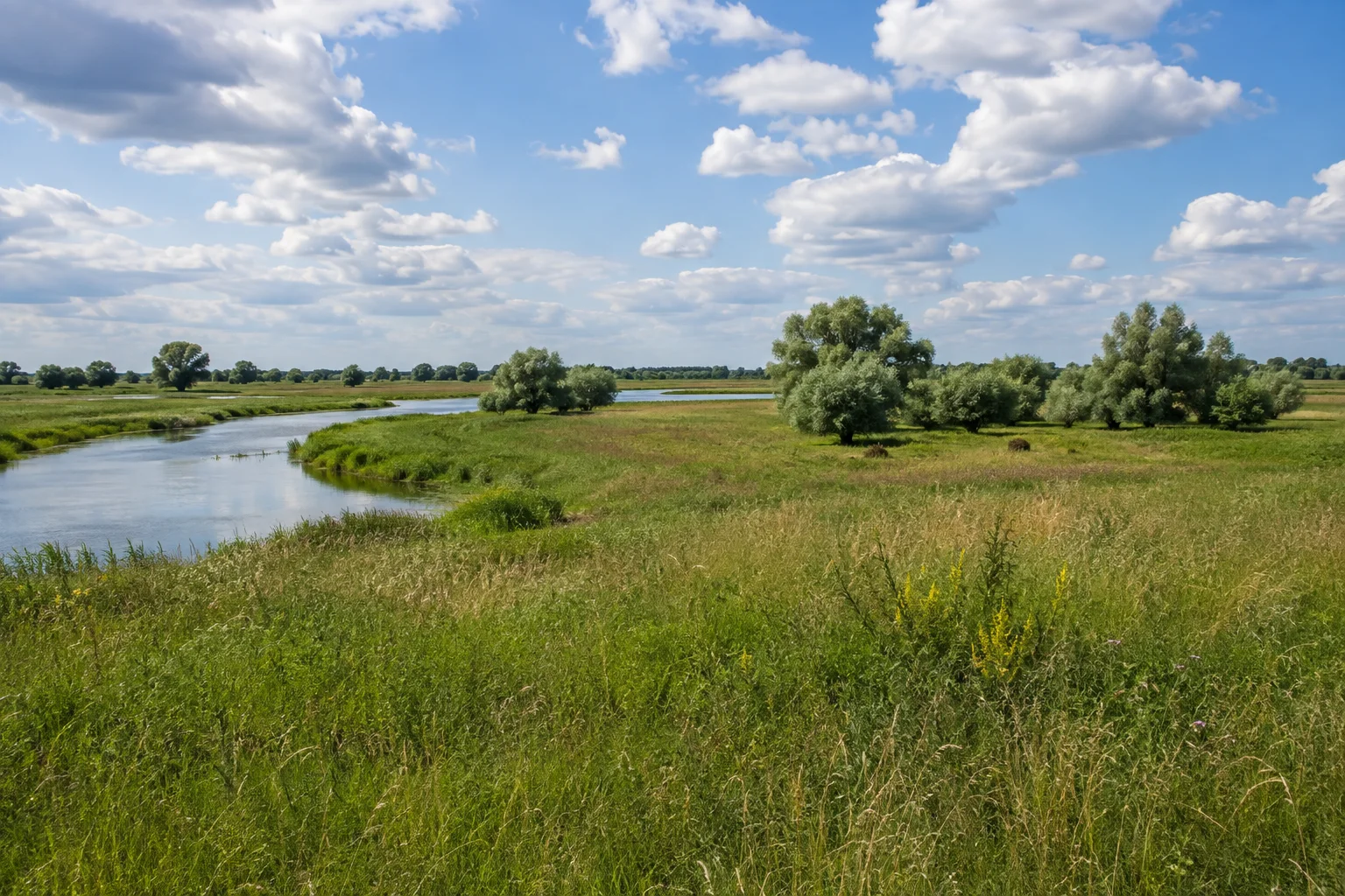 Havelniederung mit Wiesen, Wasserarmen und Weiden.