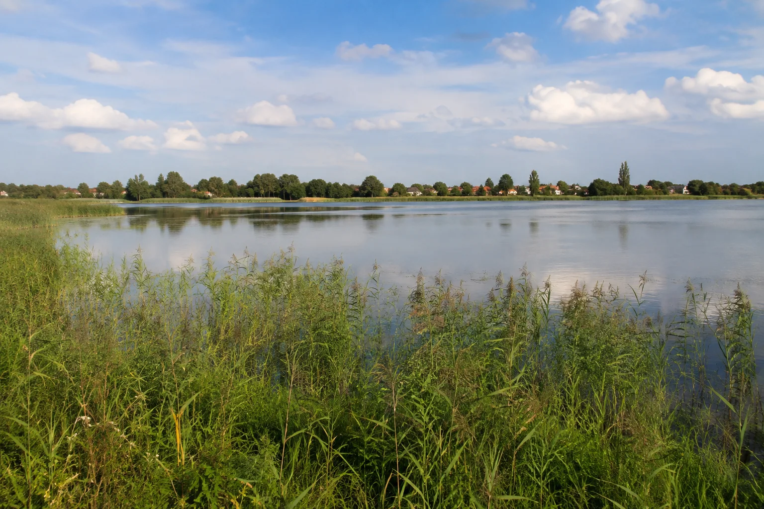 Großer flacher See mit Schilfufer und Dorfsaum.
