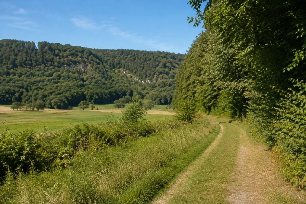 Wiesenweg im weiten grünen Werratal bei Creuzburg mit kleinen hellen Kalkfelsen im bewaldeten Hang fernab, ohne Burg oder Brücke