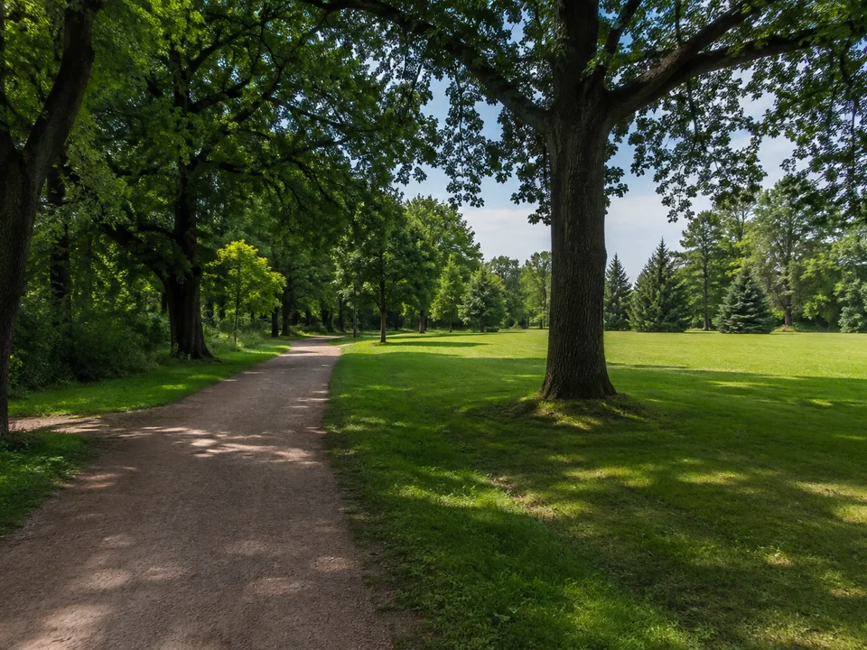 Bürgergarten am Stadtrand: Geschwungener Parkweg unter großen Laubbäumen, gepflegte Wiesen am Rand einer mitteldeutschen Stadt