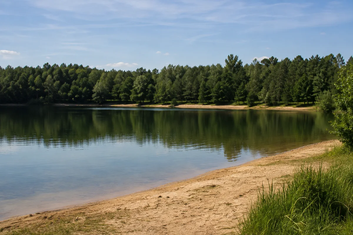Albrechtshainer See: niedriger sandiger Ufersaum und geschlossener Wald hinter ruhigem Wasser