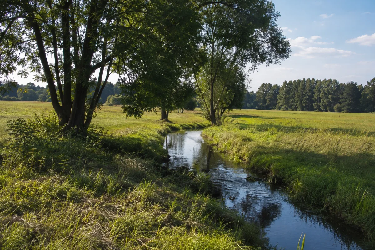Erdmannshain: schmaler Parthewasserlauf in flacher Wiesenlandschaft mit Laubbäumen
