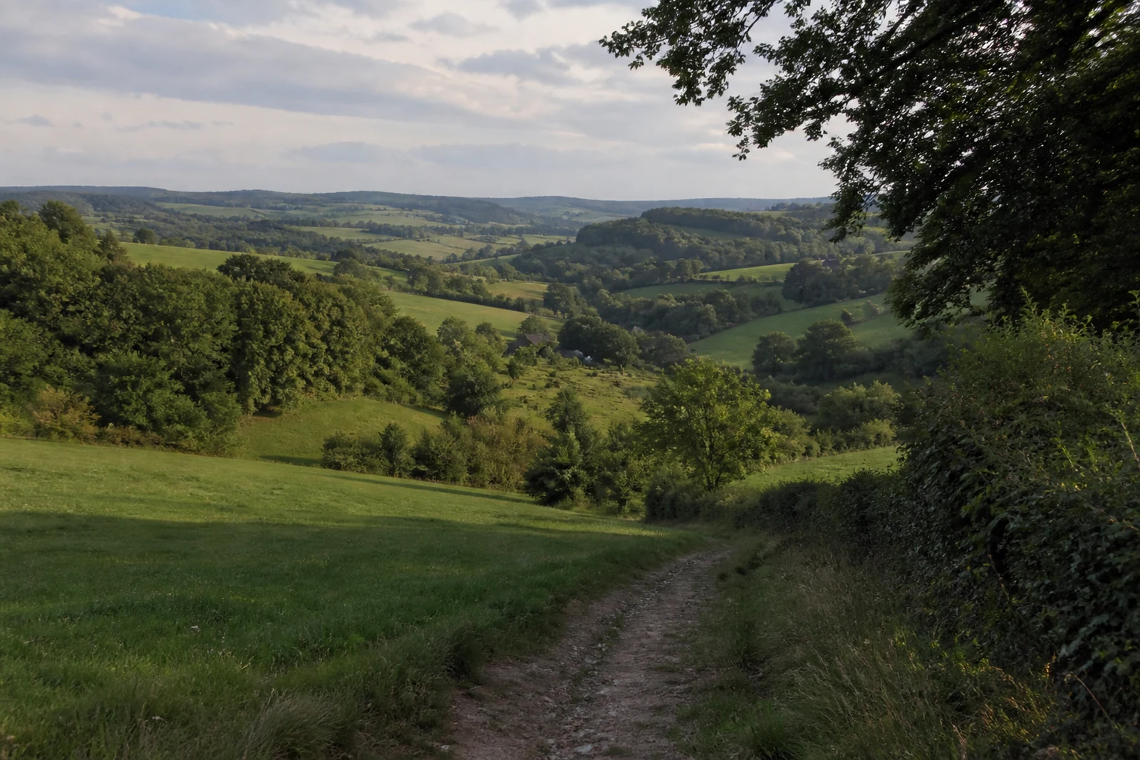 Hügeliger Wanderweg in der Elfringhauser Schweiz im Neanderland