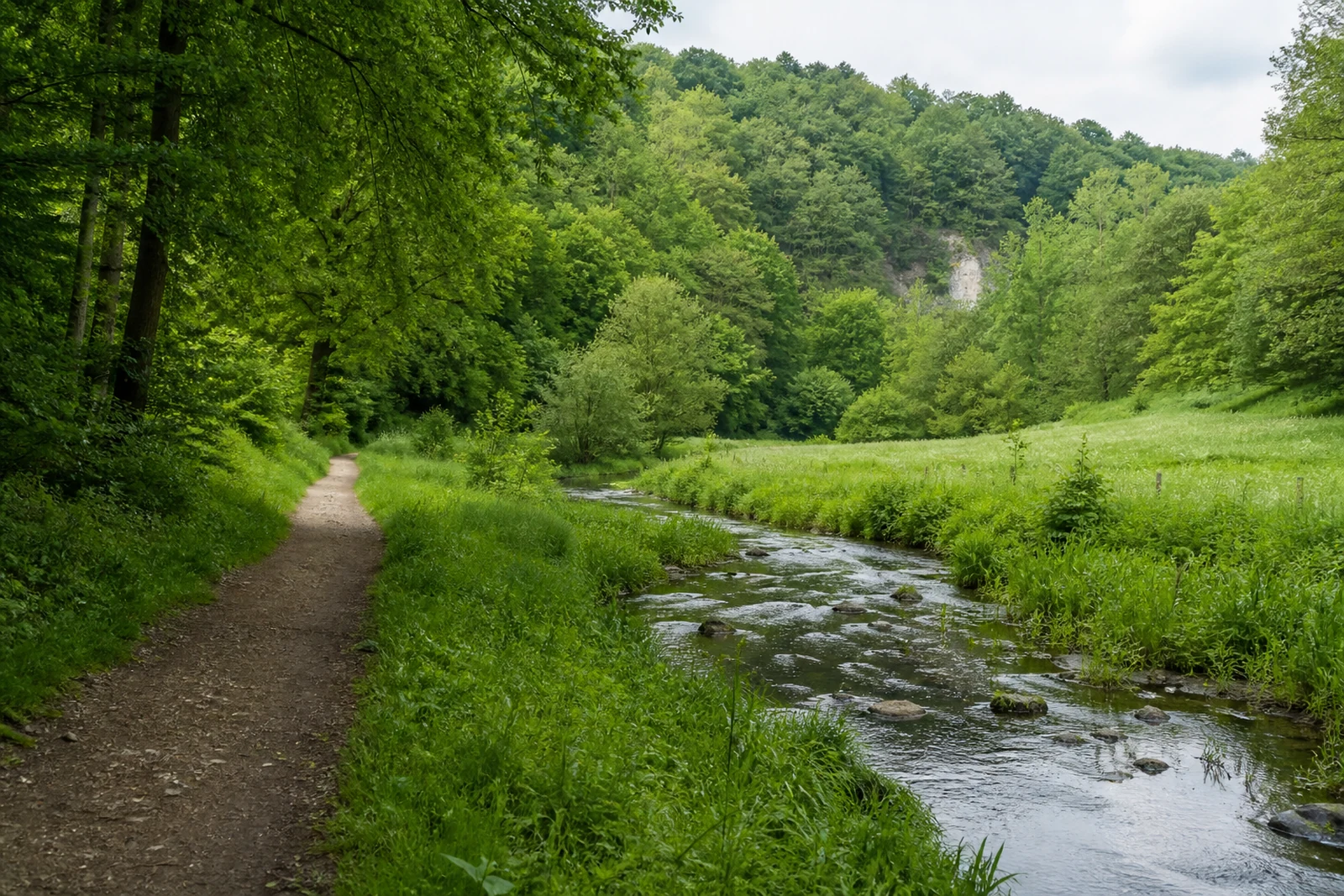 neanderland STEIG: neanderland STEIG im Düsseltal in neanderland STEIG