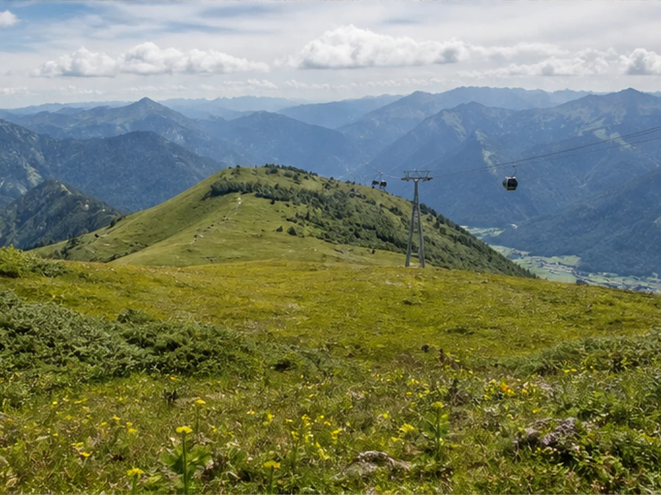 Seealpe: Alpwiese mit entfernter Bergbahntrasse