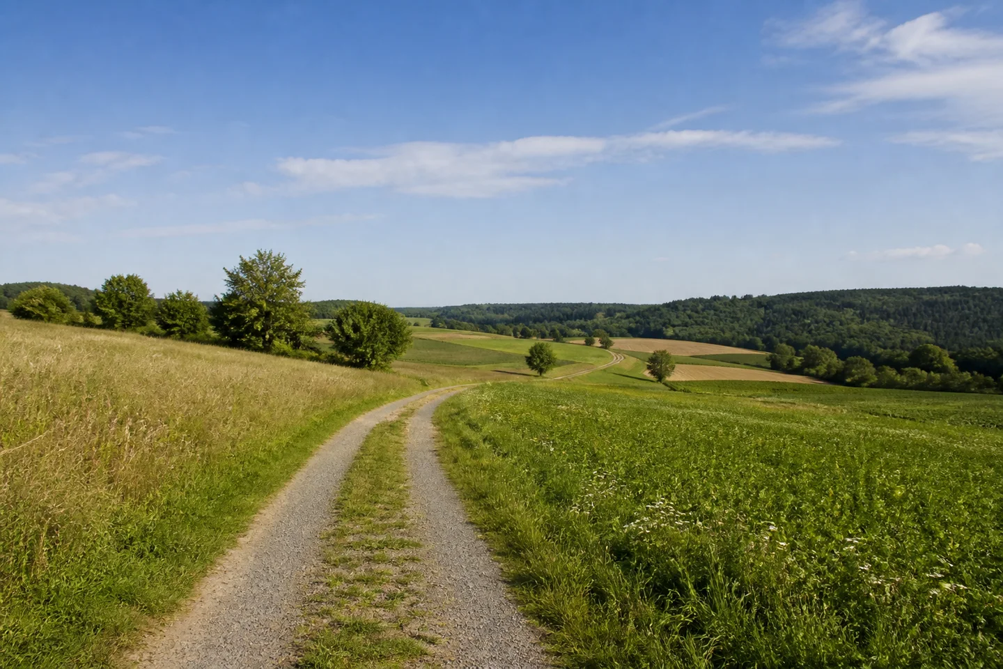 Offene hügelige Feldflur bei Mückenloch, heller Wirtschaftsweg zwischen Wiesen und Ackerstreifen, im Hintergrund niedrige Waldkämme.