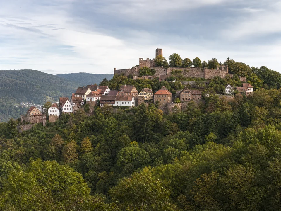 Dilsberg: mittelalterliche Bergfeste über bewaldetem Neckartal
